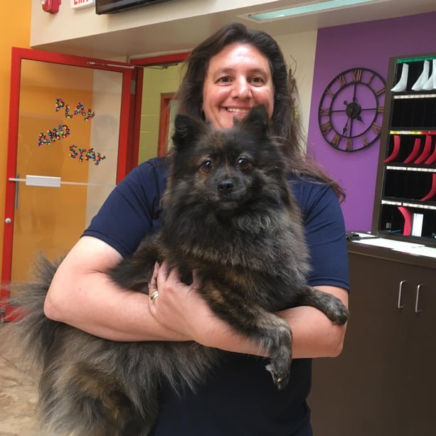 Tips For Your Pet's First Boarding Experience